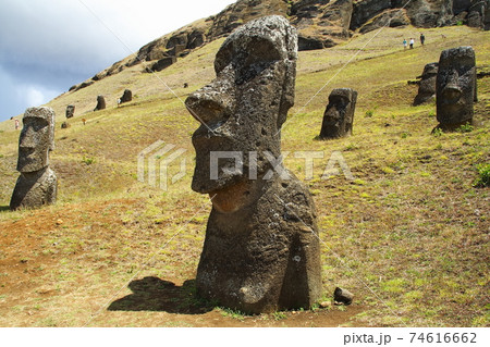 南太平洋のイースター島　モアイ製造工場跡のラノララクのモアイ 74616662