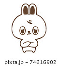 悩むうさぎ 74616902