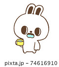 うがいをするうさぎ 74616910