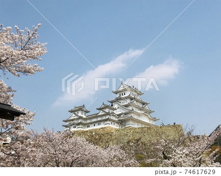 姫路城と桜と雲 74617629
