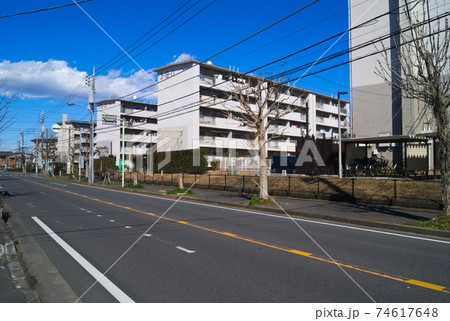 松戸市の風景　小金原団地2021年2月 74617648