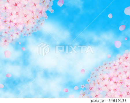 青空と満開の桜が花びらを散らしながら咲いているイメージイラスト 青空と満開の桜が花びらを散らしながら咲いているイメージイラスト 74619133