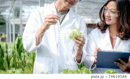 2 Scientists examined the quality of vegetable organic salad and lettuce from hydroponic farm and recorded them in the clipboard 74619588