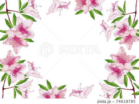 ツツジ 春 背景 フレーム 水彩 イラストのイラスト素材