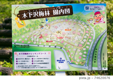 東京都八王子市　木下沢梅林　梅の里　案内板 74620076