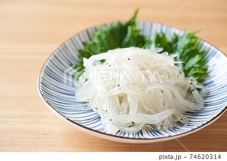 生食用白魚の写真素材 生食用白魚の写真素材