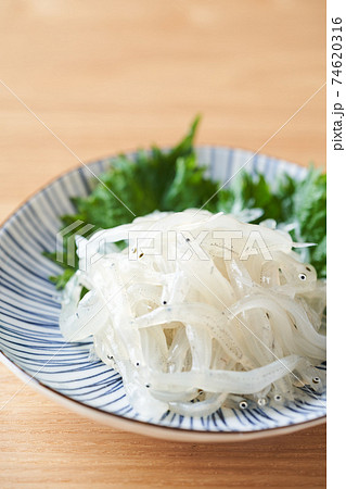 生食用白魚 生食用白魚 74620316