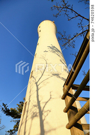 木々を写す灯台 木々を写す灯台 74620598