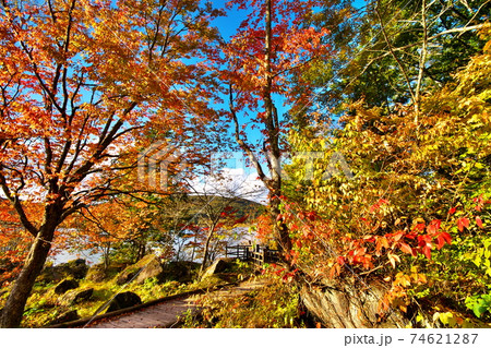 紅葉　白樺湖 74621287