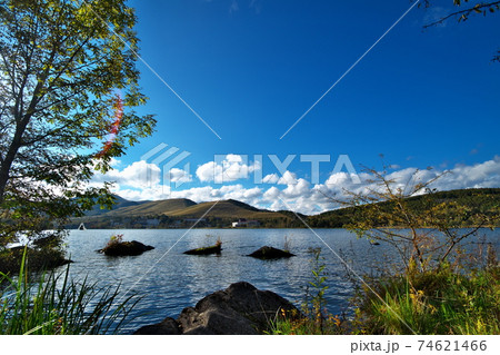 紅葉 白樺湖 紅葉 白樺湖 74621466