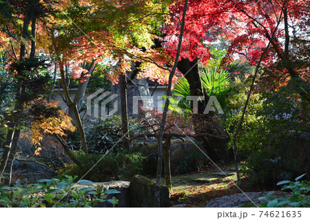 曜光山月山寺の紅葉　　＃55 74621635