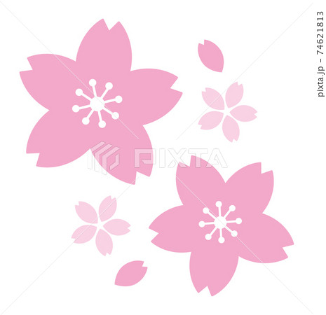 桜 春 背景 素材 桜 春 背景 素材 74621813