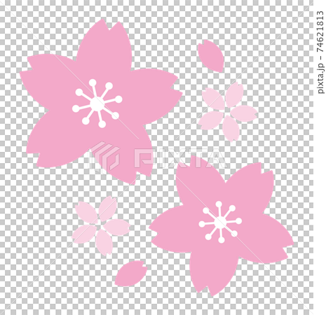 桜 春 背景 素材 桜 春 背景 素材 74621813