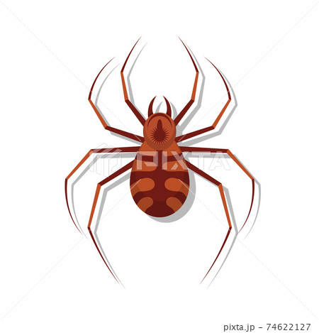 Spider vector design illustration isolated on white background 74622127