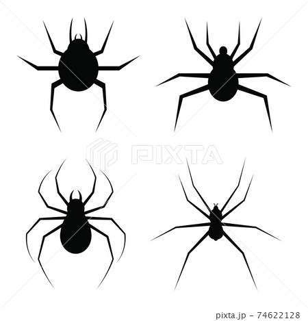Spider vector design illustration isolated on white background Spider vector design illustration isolated on white background 74622128