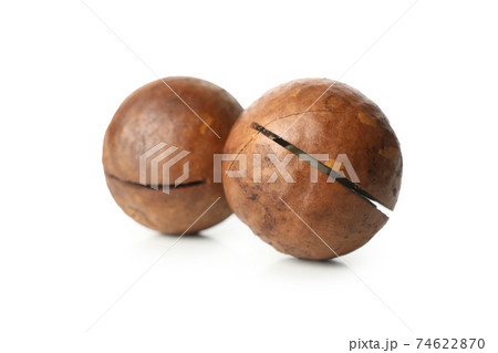 Tasty macadamia nuts isolated on white background 74622870