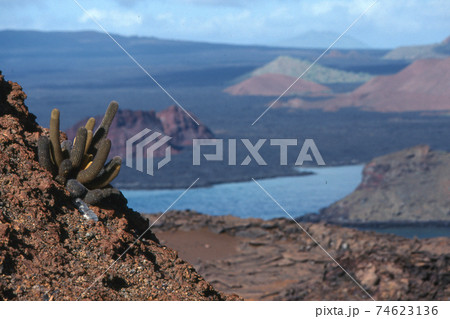 バルトロメ島からの風景 74623136