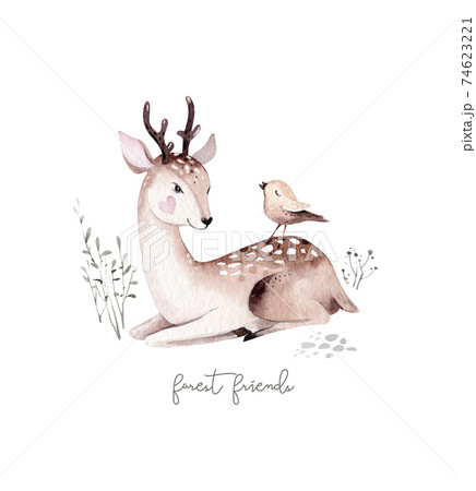 Woodland watercolor cute animals baby deer.... - Stock Illustration  [74623221] - PIXTA