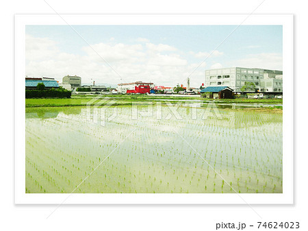フィルム写真 美原区の田んぼ フィルム写真 美原区の田んぼ 74624023