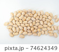 大豆　だいず　食品　食べ物　豆 74624349