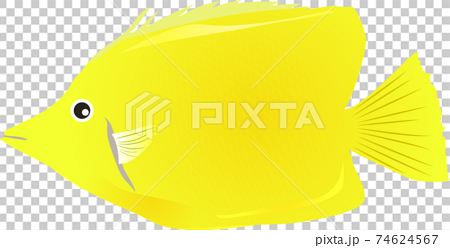 黄色い熱帯の可愛い魚のイラスト素材