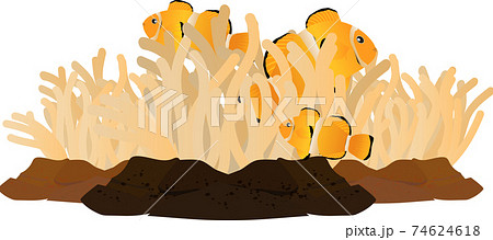 熱帯の海の綺麗なサンゴとイソギンチャクのイラスト素材