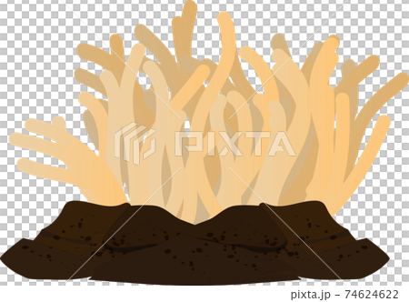 熱帯の海の綺麗なイソギンチャクのイラスト素材