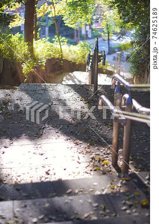 木漏れ日に照らされる階段 木漏れ日に照らされる階段 74625189