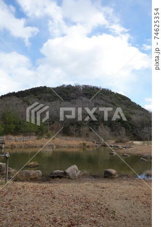 冬の甲山　縦 74625354