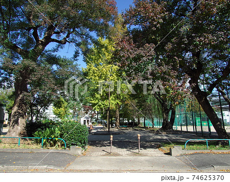 小公園の入口（11月） 74625370