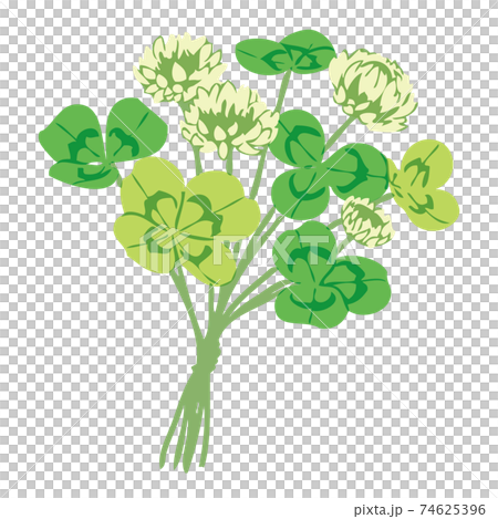Clover illustration material Clover illustration material 74625396