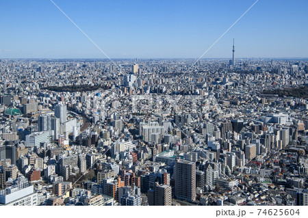 都市風景 ビル群と住宅街 池袋から文京区、台東区方面の眺望 東京都豊島区 都市風景 ビル群と住宅街 池袋から文京区、台東区方面の眺望 東京都豊島区 74625604