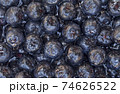 Aronia Melanocarpa Background 74626522