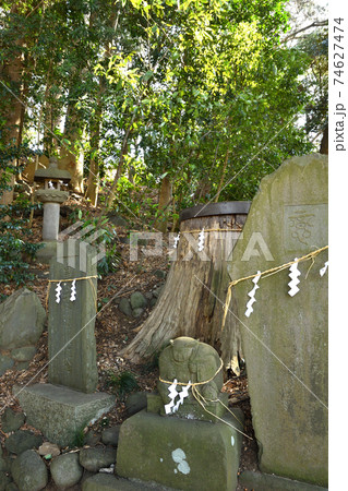 流山散歩:赤城神社 石碑と社叢林 流山散歩:赤城神社 石碑と社叢林 74627474
