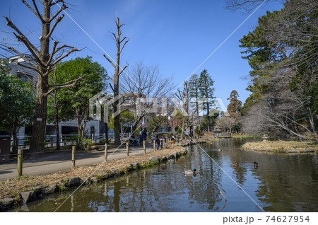 田園調布の閑静な住宅街と公園 東京都大田区宝来公園 田園調布の閑静な住宅街と公園 東京都大田区宝来公園 74627954