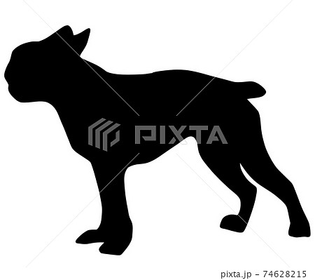 可愛いボストンテリアのシルエットのイラスト素材