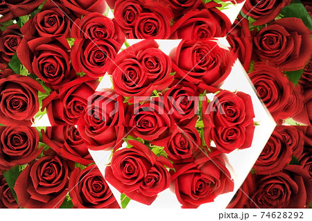 バラばら薔薇・万華鏡7 74628292