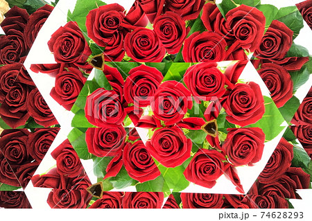 バラばら薔薇・万華鏡19 74628293