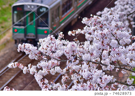 桜と電車(大河原) 桜と電車(大河原) 74628973