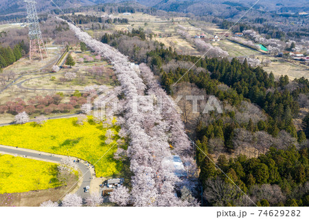 「群馬県」満開の赤城南面千本桜の空撮 74629282