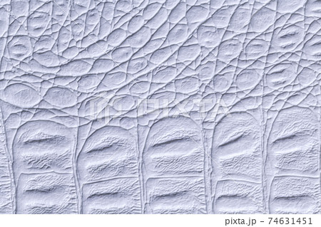 Light blue leather texture background, closeup. Gray reptile skin, macro. 74631451