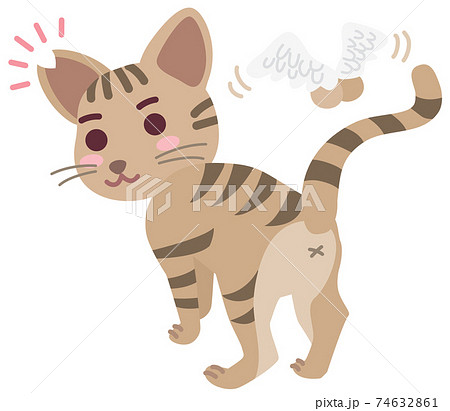 去勢手術と耳カットをした地域猫の男の子 去勢手術と耳カットをした地域猫の男の子 74632861