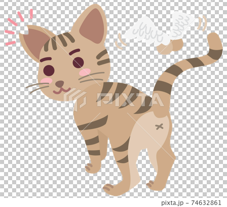 去勢手術と耳カットをした地域猫の男の子 去勢手術と耳カットをした地域猫の男の子 74632861