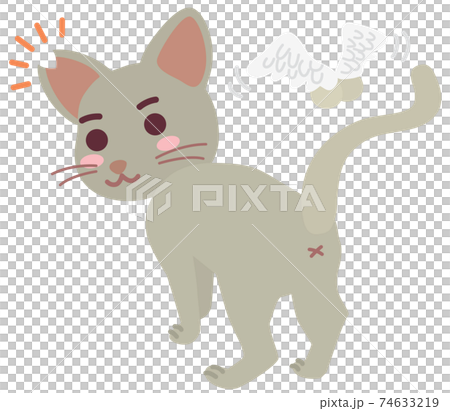 去勢手術と耳カットをした地域猫の男の子 74633219