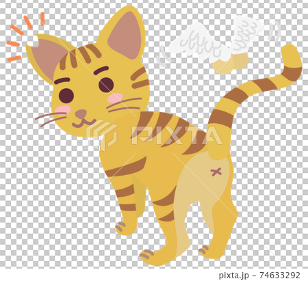 Local cat boy with castration surgery and ear cut Local cat boy with castration surgery and ear cut 74633292