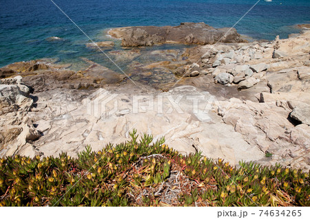 Natural backgrounds from Corsica island in France 74634265