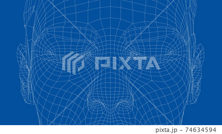 Wireframe portrait of a young beautiful girl Wireframe portrait of a young beautiful girl 74634594