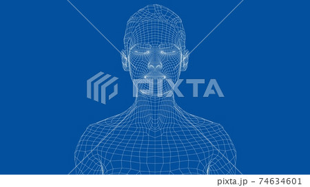 Wireframe portrait of a young beautiful girl 74634601