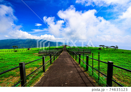 八丈島の風景 八丈島の風景 74635123