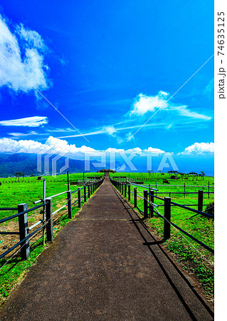 八丈島の展望台からの景色 74635125